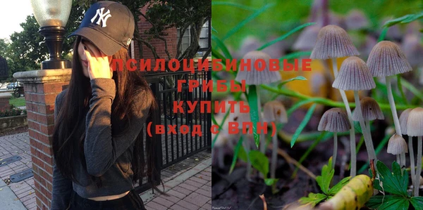 крисы Балахна