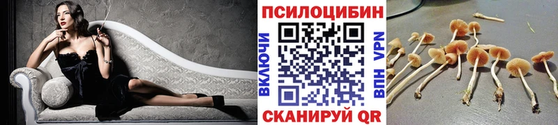 Галлюциногенные грибы Psilocybine cubensis кракен как войти Белоозёрский